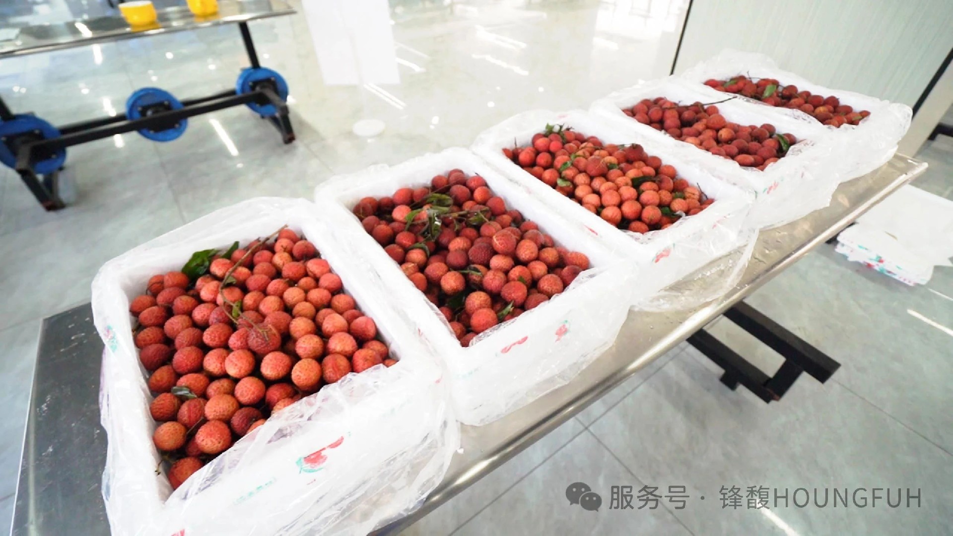 微信图片_2025-07-24_111420_328.jpg