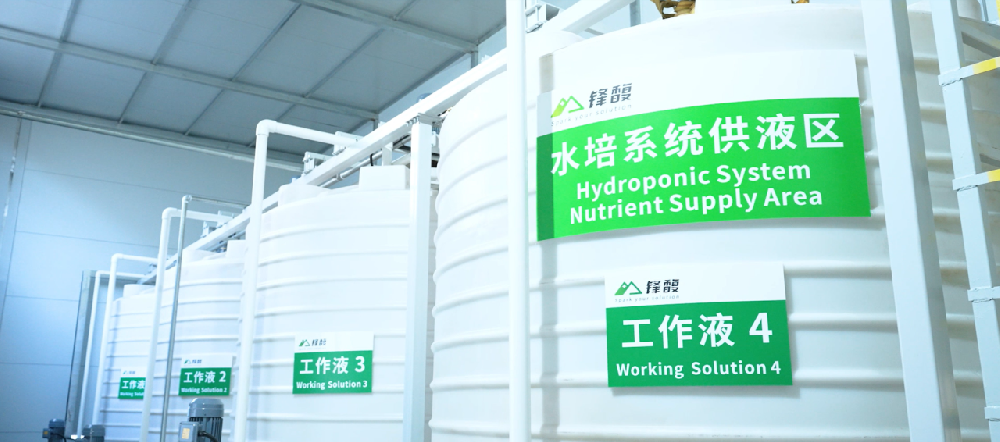 锋馥：以科技赋能企业绿色转型，共创可持续未来